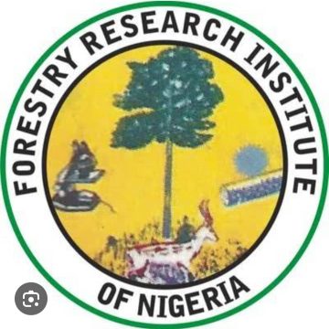 Forestry Research Institute of Nigeria Achieves Milestone with First Seedling Harvest at Igbajo Sub Station.